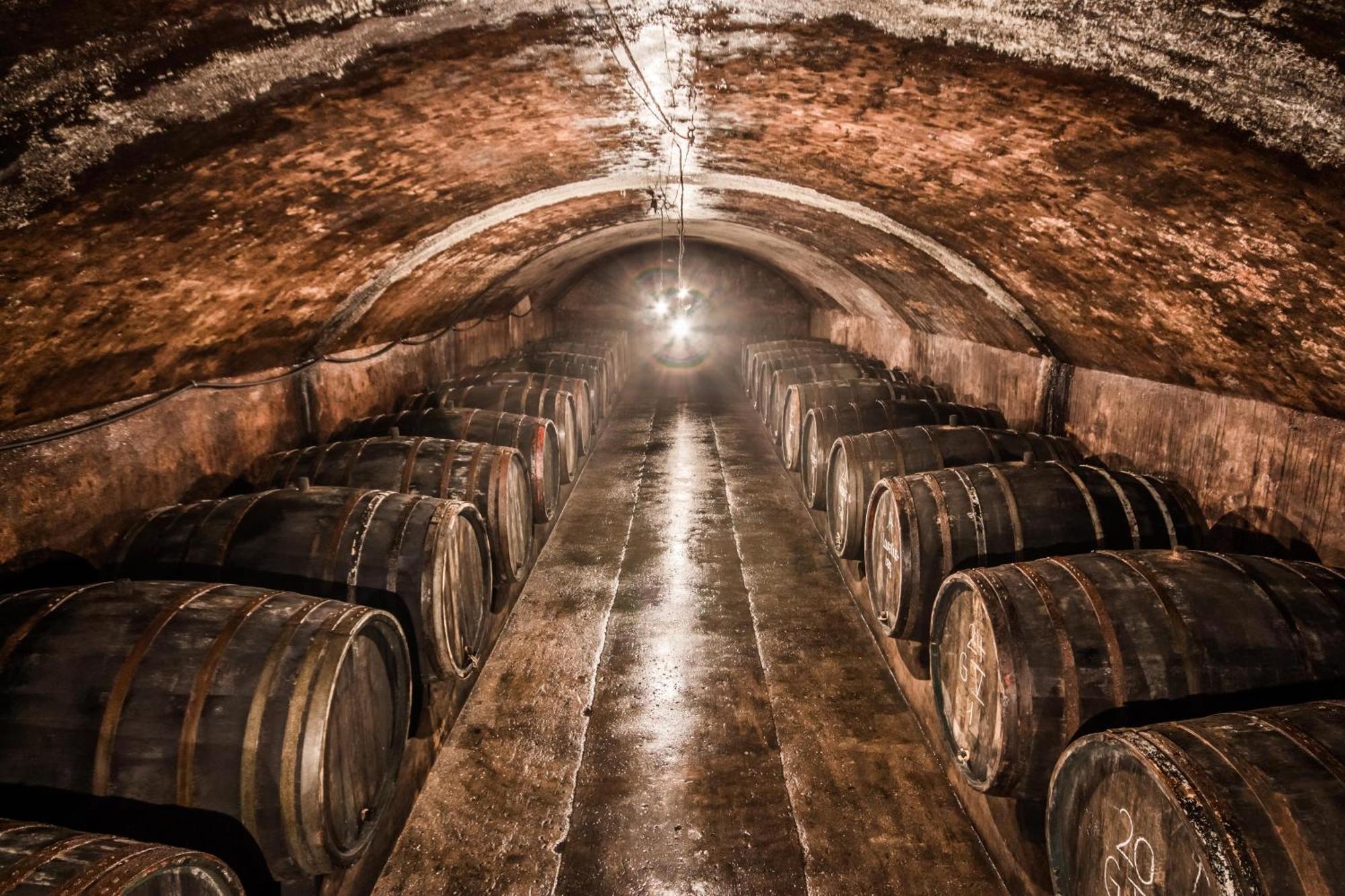 Weingut Dr Wagner Villa Saarburg Dış mekan fotoğraf