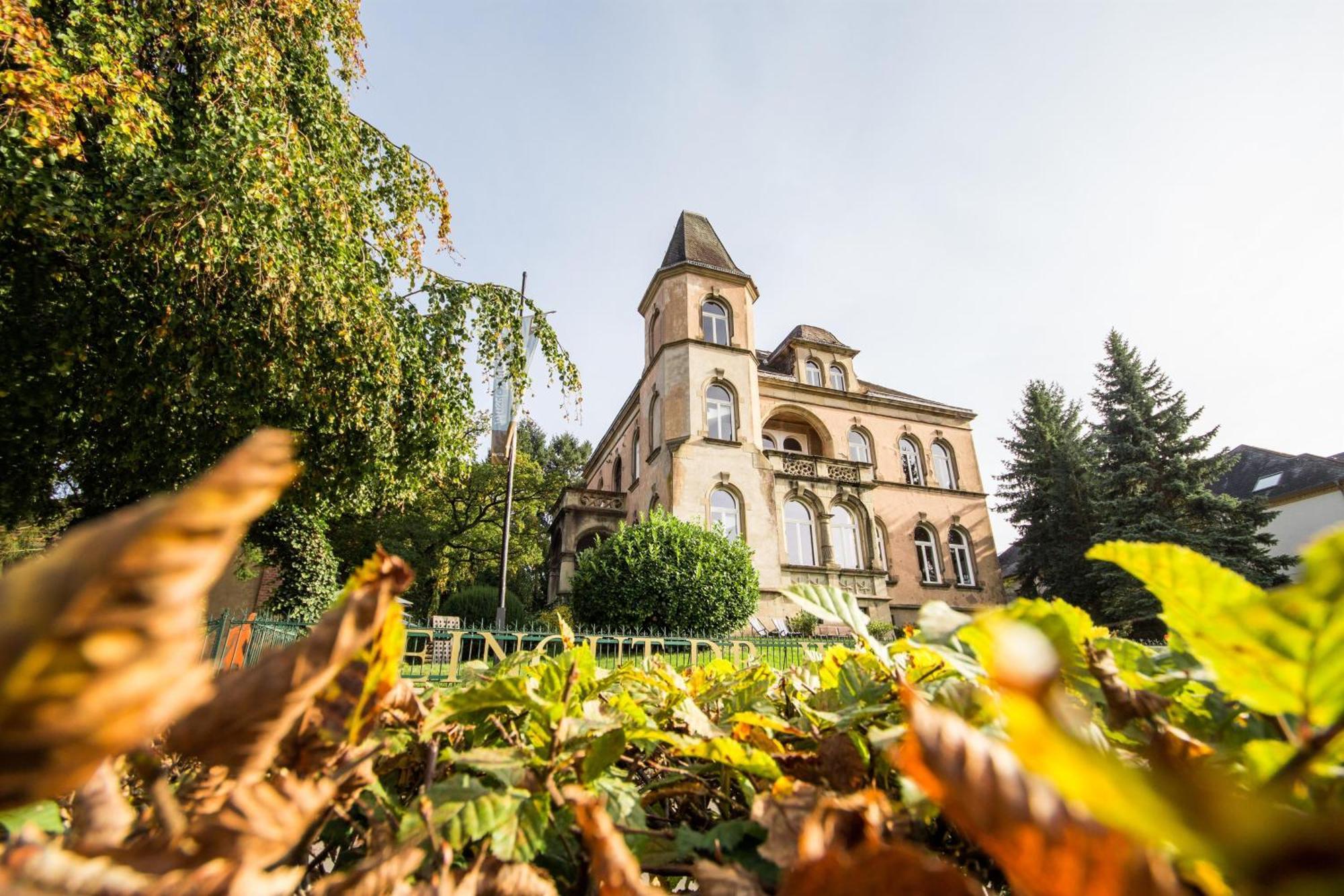 Weingut Dr Wagner Villa Saarburg Dış mekan fotoğraf