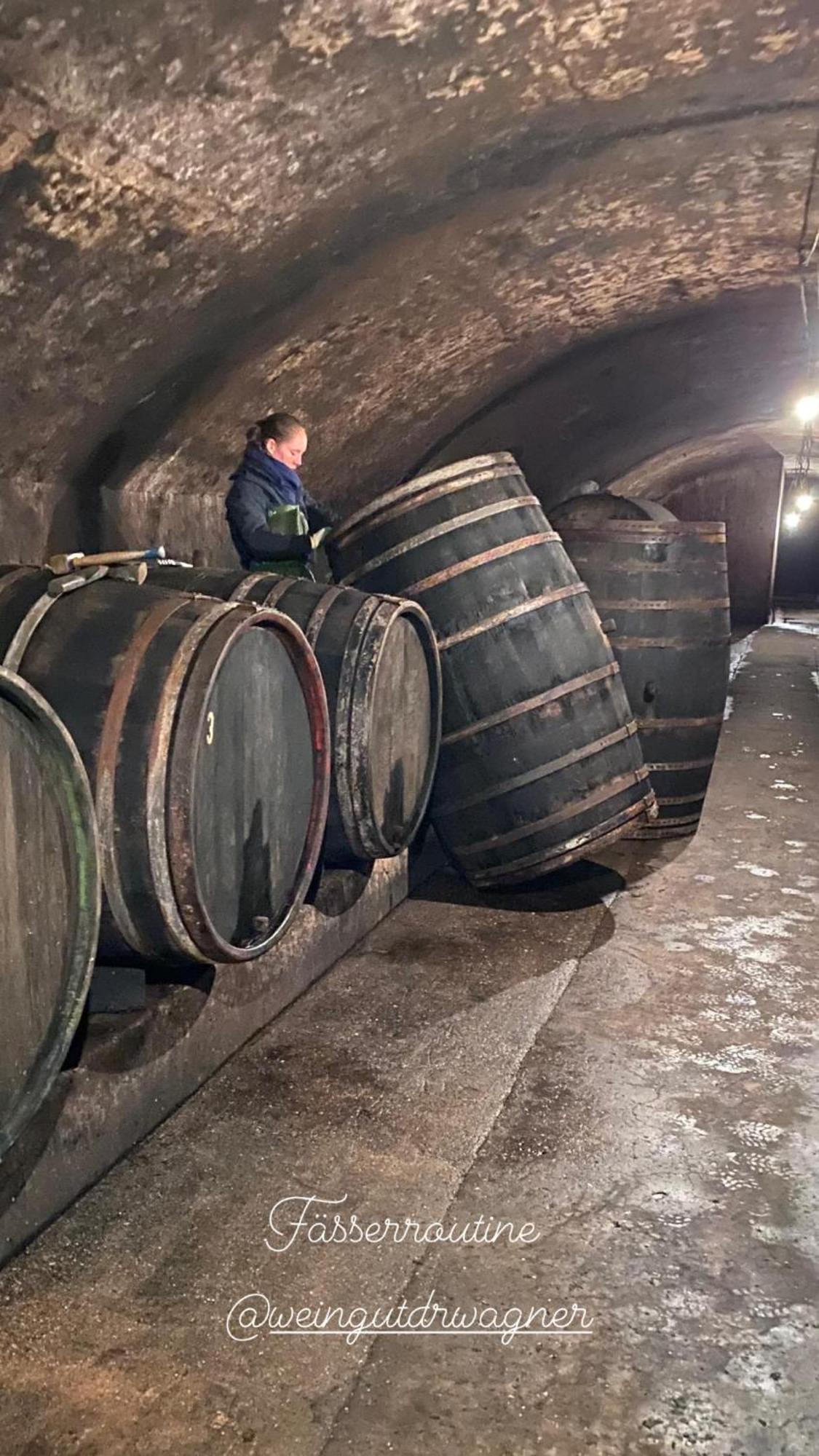 Weingut Dr Wagner Villa Saarburg Dış mekan fotoğraf