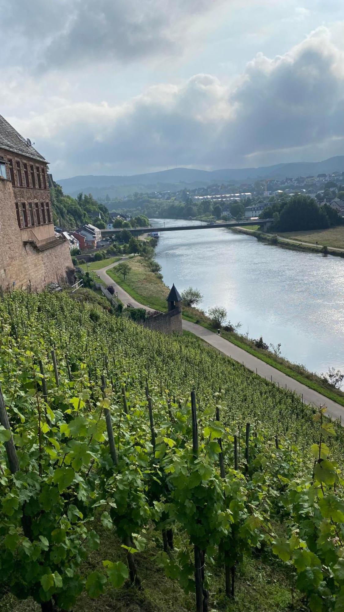 Weingut Dr Wagner Villa Saarburg Dış mekan fotoğraf